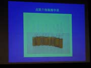 ������������|(zh��)��ԇ����Įa(ch��n)Ʒ֮һ