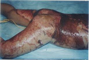 ����(chu��ng)��ı��F(xi��n)��