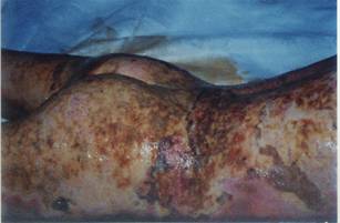 �����2�섓(chu��ng)��ı��F(xi��n)��