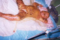 �����ģ�4 �q������,95%ȫ������e��������45%������40%���\���10%�����12������Ժ��11����